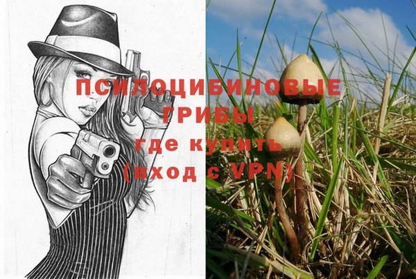метадон Белокуриха
